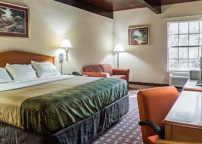 Econo Downtown - Lodge
