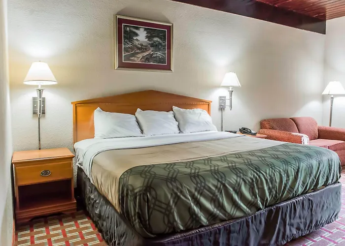 Econo Downtown -